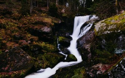 4. Die Vor- und Nachteile deiner Einnahmequellen